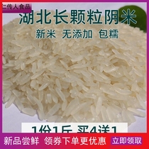 2020 of new high yin mi Hubei Tianmen farm yin oneg cooked glutinous rice dong mi tang month m jiang mi specialty