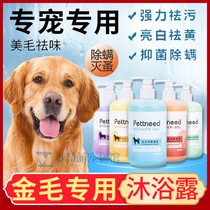 Golden Retriever special dog shower gel shampoo bath liquid lasting fragrance shampoo supple antibacterial bath to relieve itching