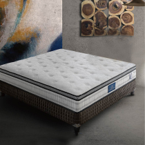 German Longlefu High Quality Modern Fashion Original Imported Series-Frankfurt Simmons Latex Mattress