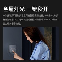 Eurorebo Switch Smart Switch Voice Remote Control Wireless Panel Scene Linkage Touch 86 switch