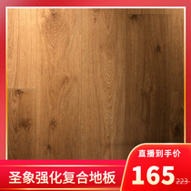 Elephant home bedroom living room Environmental protection solid wood laminate floor GT9182 wear-resistant waterproof 12mm