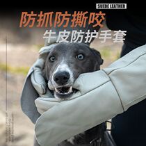 Anti-bite gloves dog training dog anti-dog bite anti-cat scratch pet Kevlar anti-stab anti-scratch dog thickened a