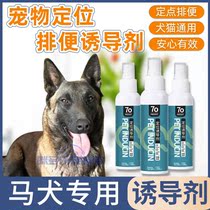 Mound special pet pooch Targeted Defecation Inducers On the Toilet God Instrumental Training for Toilet Accessories Such As Toilet