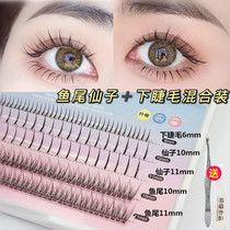 Yu Shuxin fish tail fairy upper and lower eyelashes mixed with false eyelashes natural simulation single Cluster A- shaped self-grafting hair