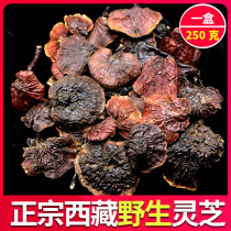  Tibetan Huige Tibetan wild Ganoderma Lucidum Dry goods Nyingchi red gold edge Ganoderma lucidum slices whole 250g Gift box