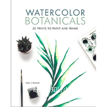 Watercolor Botanicals 20 Prints to Paint and Frame ebooks