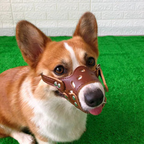  Pet supplies Dog mouth cover Corgi dog anti-bite and anti-barking special anti-eating and drinking water mask Corgi mouth cover
