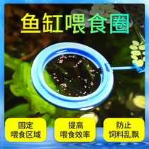 Feeder Feeding ring anti-floating guppy fish feeding ring aquarium fish fish food feeding feeder