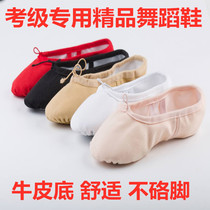 Chinese Ballet Adult Professional Exam Class Dancing Shoes Young Children Male And Female Child Soft Bottom Boutique Boutou Practice Cat Paw Shoes
