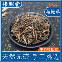 Chinese herbal medicine Verbena 50g Iron Horse whip Horse side grass MBC Herbal Shop