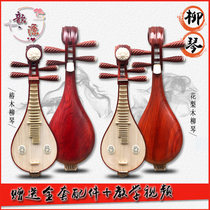 Liu Qin instrument performance level Liu Qin double resonance box beginner entrance examination Qin