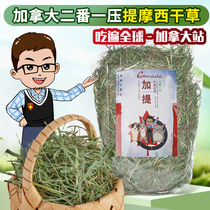  Two times one pressure Canadian Timothy hay 500g imported grass rabbit Chinchilla Dutch pig Guinea pig
