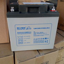 Haircare battery DJM1238S lead-acid free of maintenance 12V38AH storage battery EPS Private UPS power supply 
