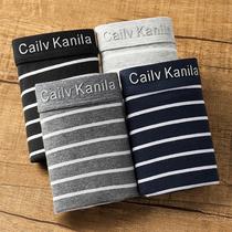 New 2-4 dress mens underwear cotton quality flat corner pants sexy youth mid-waist striped Ben year underwear guys