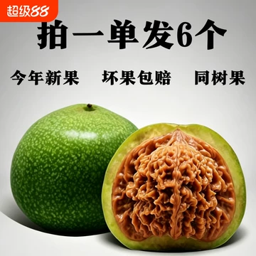 文玩核桃 乾坤核鬼脸核桃 育成半年 乾坤鬼臉核一般對] －印尼核桃