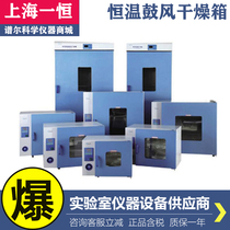Shanghai Yiheng DHG-9030A 9070A 9140A electric constant temperature blast drying oven oven baking box