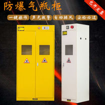 Full Steel Cylinder Cabinet Cabinet Laboratory Safety Cabinet Storage Cabinet Intelligent Thickened Single Bottle Double Bottle Triple bottle with alarm (2
