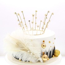 Gypsophila cake Crown birthday cake decoration creative dessert table Pearl White Feather plug-in card