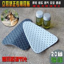 Alar ear device dog ear size pup pet correction Koki Schnauer auxiliary ear patch Dubin