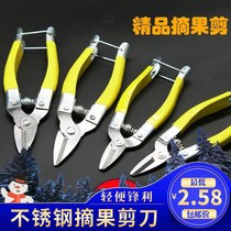 Pruning shears home picking scissors for fruit gardening citrus orange scissors grape Flower trimming scissors special fruit handle