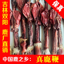 Deer whip dry whole root root pruning Shuangyang Luxiang male wine pure northeast specialty Jilin plum blossom deer whip