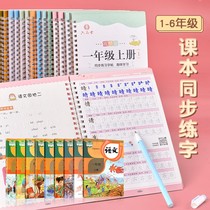 Elementary school childrens character handwriting This special 1st grade sophomore 3 45 6 upper register of synced language people teaching version hard pen to practice writing stroke pen cis-groove children block letters beginner book beginners