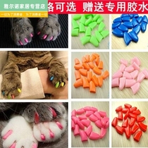 New cat nails cat pawcat shoes anti-scratch and bite cat glove artifacts pet bath cat foot kit