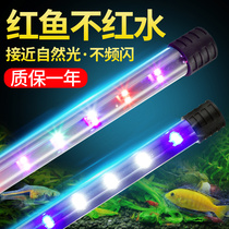Light color top light fish tank LED light water cluster box lighting decorative light aquarium fish tank light three-color small diving