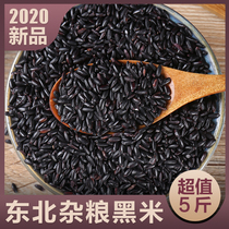5 Jin northeast black rice soft waxy black rice brown rice grain grain japonica rice purple rice Heilongjiang farm home