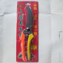 Garlic special scissors garlic scissors garlic scissors garlic Scissors Factory Direct New