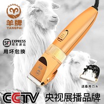 Goat Truffle Goat Electric Pushcut High Power Shave Wool Electric Scissors Pet Shave Machine Electric Pushback Haircut Machine