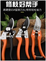 Garden gardening scissors gardener pruning branches scissors fruit shears pedicle flower trimmer household pruning scissors