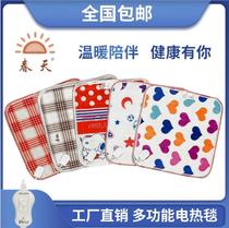 Pet Electric Blanket Pooch Heating Mat Cat with thermostatic electric bedding Mini Cat Litter Waterproof Winter Warm Warmer