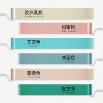 Water-based environmental protection wall paint paint self-painting home art paint childrens latex paint indoor renovation paint spray paint