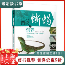 Genuine spot picture of lizard breeding history Xiaomo Zhang Bin Edited by Shanghai Science and Technology Press 9787547808856