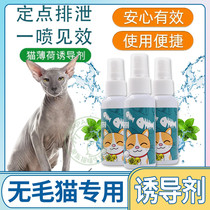 Hairy cat Sfinks special appeasement soothing emotions kitty Happy Water Cat Mint Spray Inducers Perfume