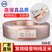 Pure copper sound box wire horn wire fever grade cable special wire professional sound cable 200 2*100 core