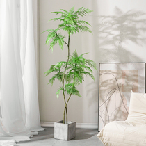 Simulation green plant high-end light luxury jacaranda potted plant soft decoration large-scale interior decoration tree living room floor-to-ceiling landscaping decoration