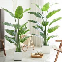 Simulation green plant large potted ornaments plant living room Nordic paradise bird traveler Canna fake tree landing net red decoration