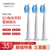 QUEEN ELISA electric toothbrush brush head DuPont bristles soft hair clean gingival beauty for adult men and women