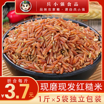 Red rice 5kg red brown rice farmhouse red rice grain rice coarse grain rice coarse grain moon blood rice red rice red rice red rice
