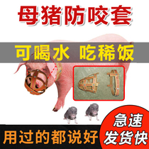 Sow anti-bite sleeve Piggy artifact Pig mouth sleeve Anti-bite sow mouth sleeve Horse cow and sheep anti-eating pig special