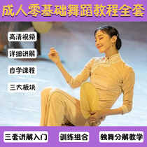 Adult Chinese Classical Dance Tutorial Rhyme Basic Skills Training Soft Opening Explanation Introduction Zero Basic Textbook Teaching