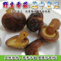 New authentic wild premium small shiitake mushrooms dried money mushrooms edible deep mountain mushrooms bulk Tongjiang specialty 500g