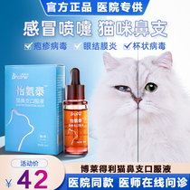Boladelli cat nasal support oral fluid kitty conjunctivitis eye red swollen cat nose with more sneezing yellow nose