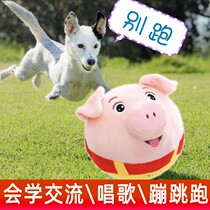 Electric pet toys will sing and dance to tease Teddy puppies golden hairy dog to solve boredom entertainment puppies supplies jumping ball