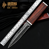 Outdoor knives with the wind sharp knives cold weapons sabers tritium Damascus steel straight knives