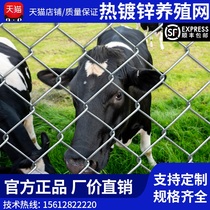 Hot-dip galvanizing steel wire mesh breeding ji ya e pig niu yang wang shan di yuan lin Orchard security fence fence