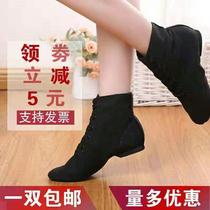 Zhang Gaopang Jazz Dance Boots Modern Dance Shoes Adult Soft Sitters Childrens Body Practice Shoes Mens and Womens Ballet Yu