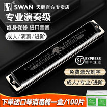 Germany imported reed harmonica professional performance grade 24-hole polyphonic C tone Beginner student Adult entry